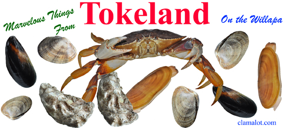Sea food from Tokeland
